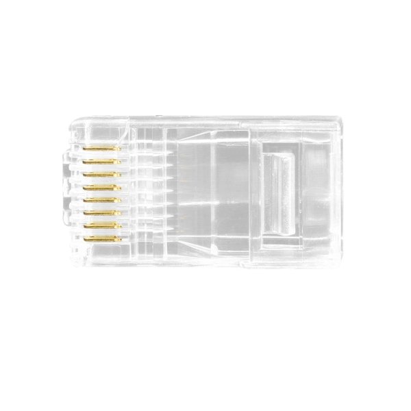 Conector RJ45 Macho EVUS - Imagem 3